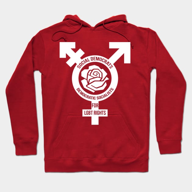 Social Democrats & Democratic Socialists for LGBT rights Hoodie by Mahboison